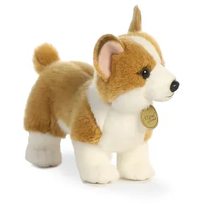 Aurora - Miyoni - Corgi