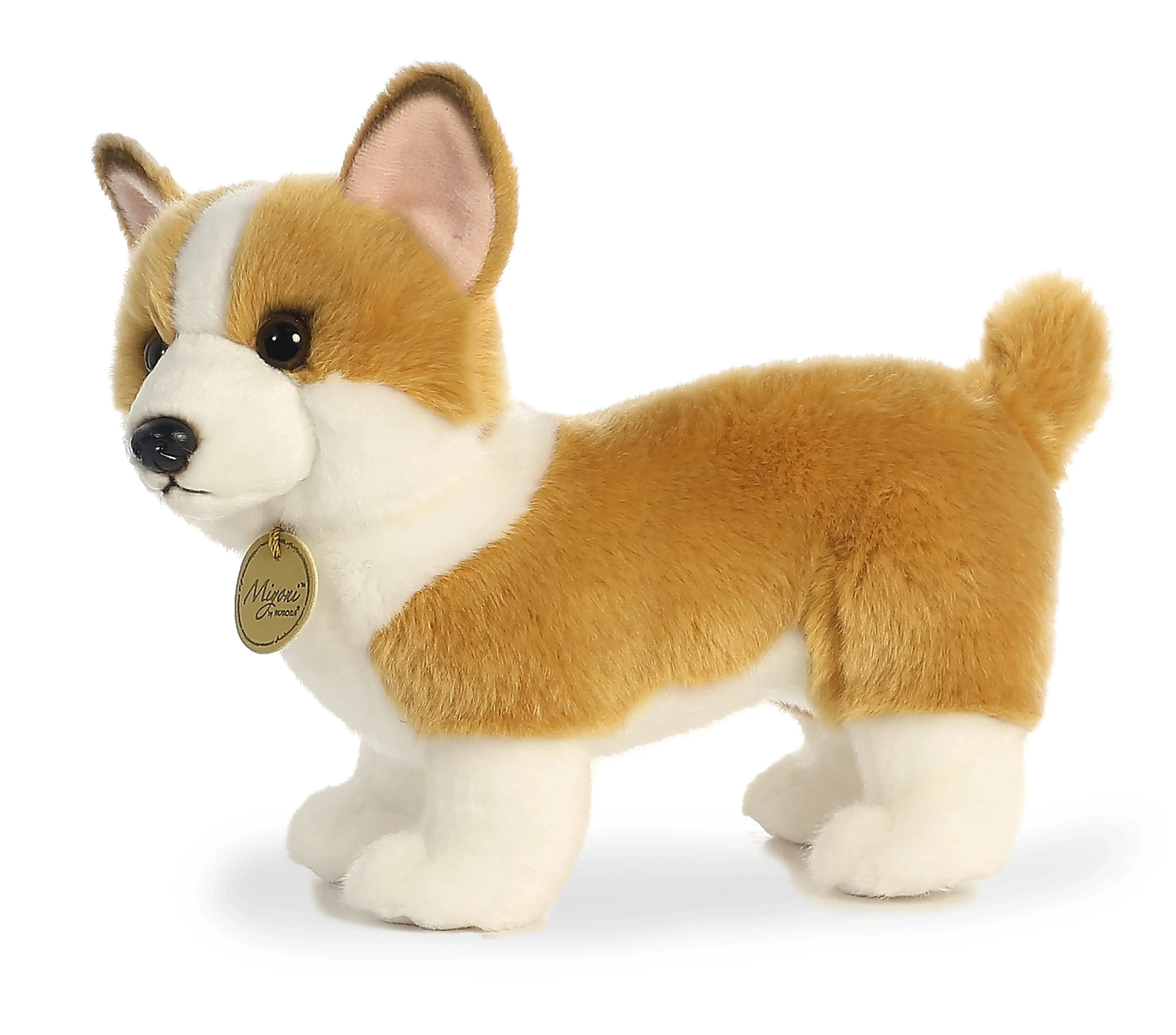 Aurora - Miyoni - Corgi