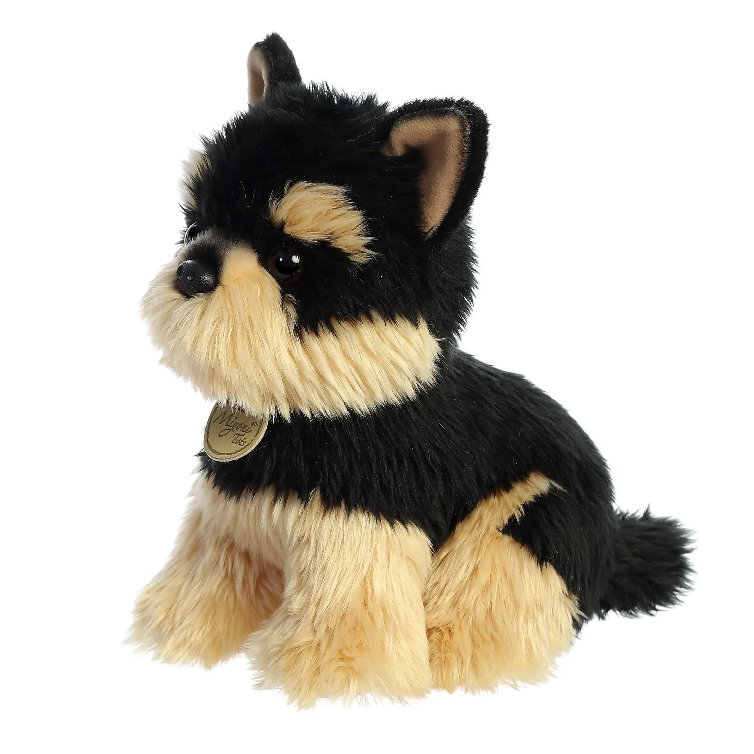 Aurora - Miyoni - Yorkie Pup