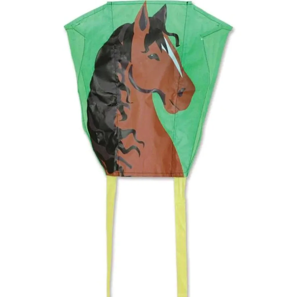 Backpack sled kite