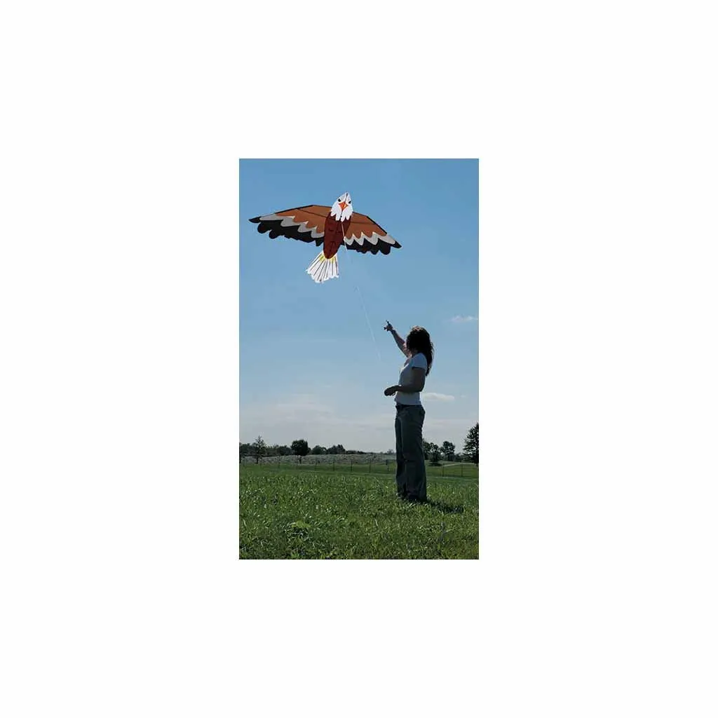 Bald Eagle Kite