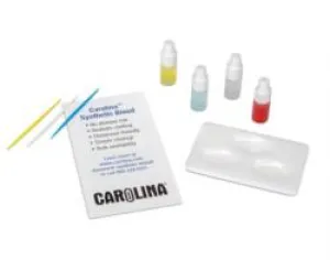 Blood Group Identification Experiment (Student Kit)