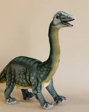 Brontosaurus Dinosaur Stuffed Animal