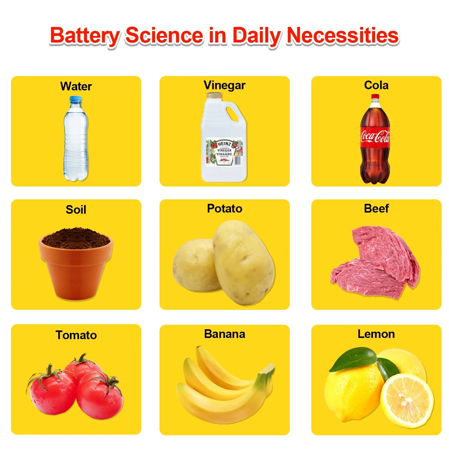 Fruit Battery Science Experiment Kit