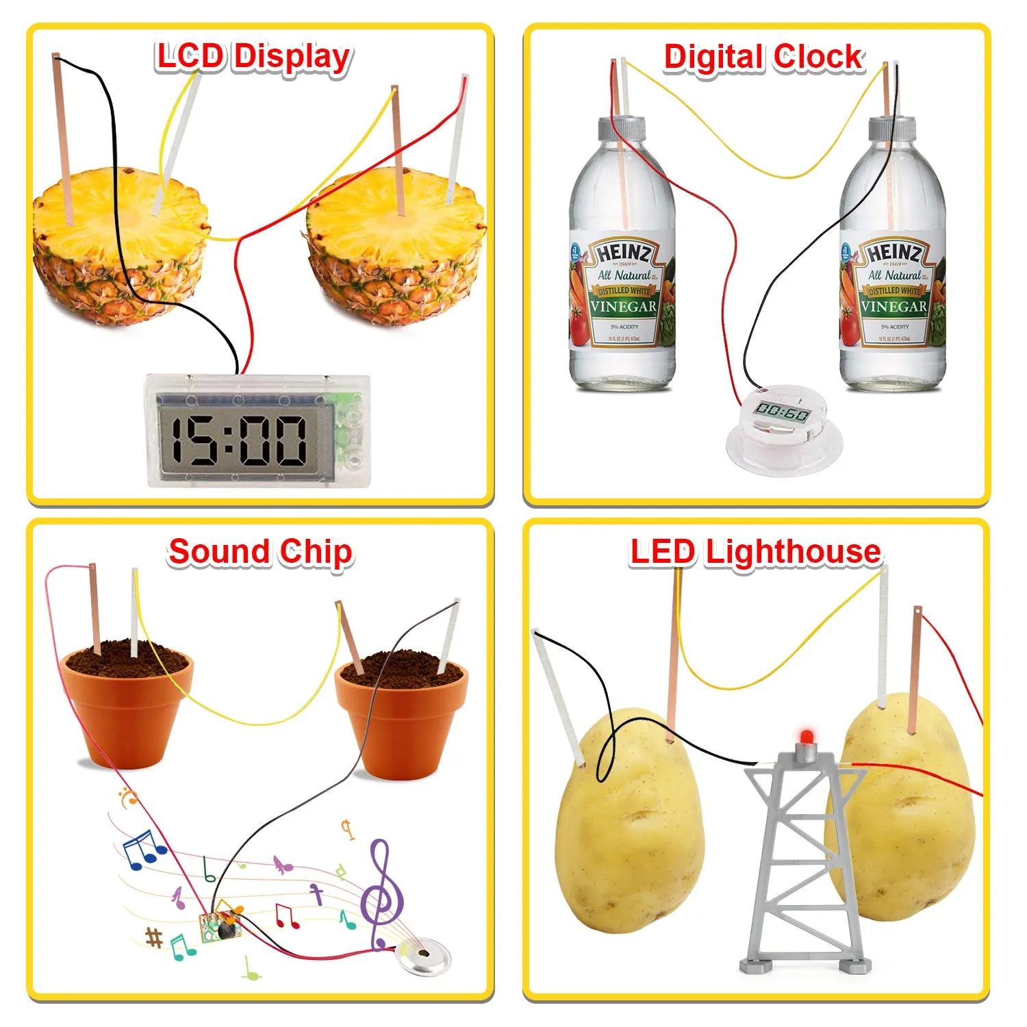 Fruit Battery Science Experiment Kit