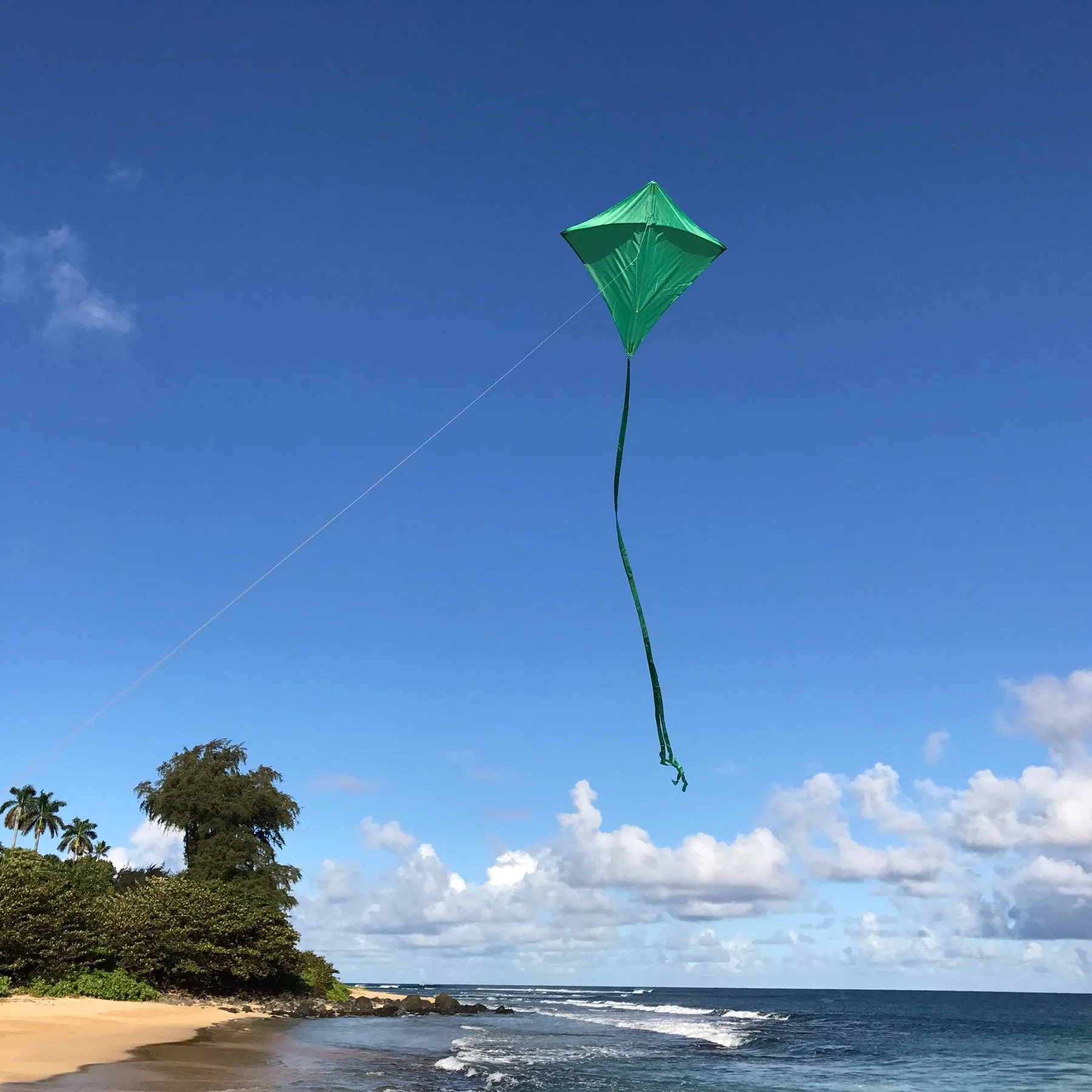 Green 30" Diamond Kite