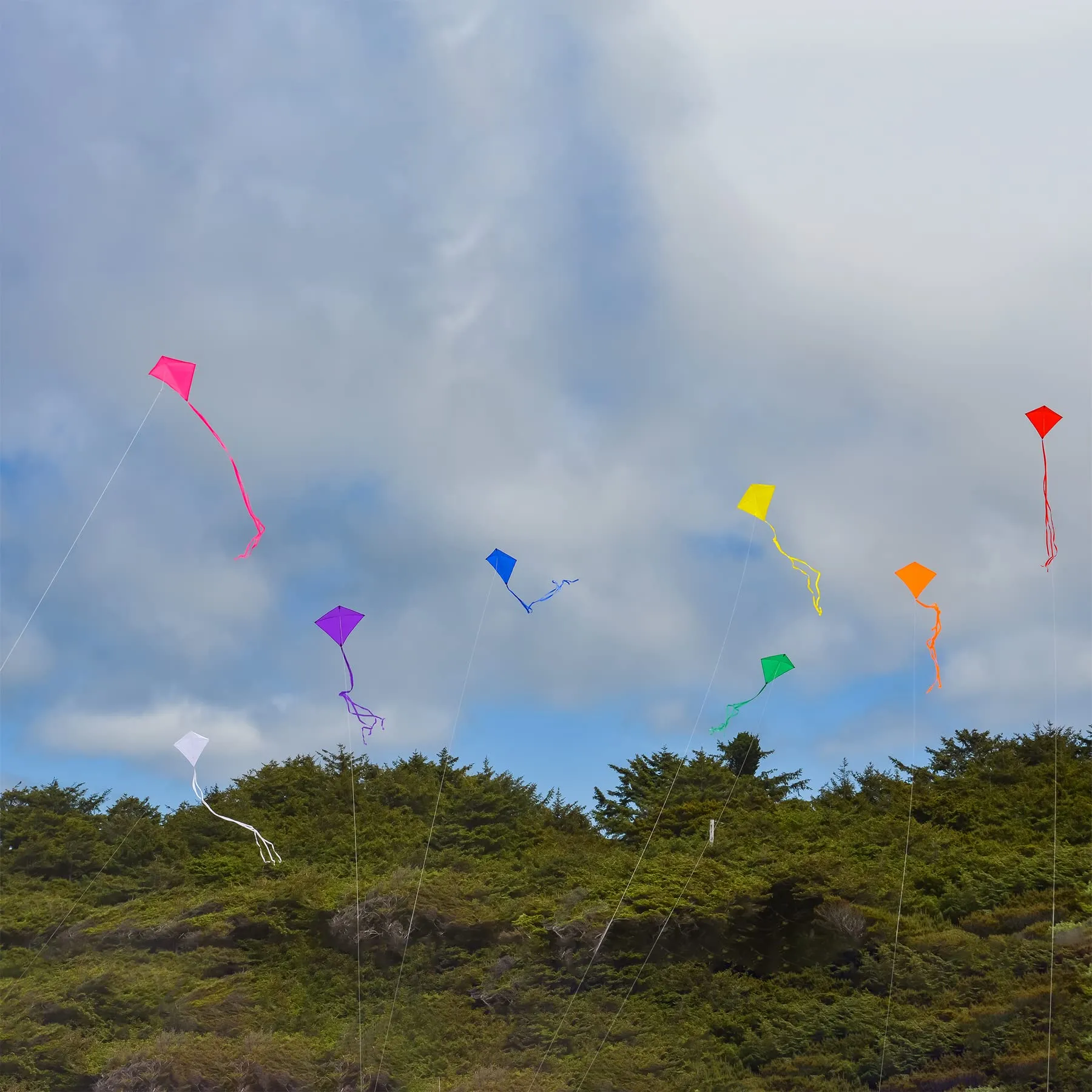 Green 30" Diamond Kite