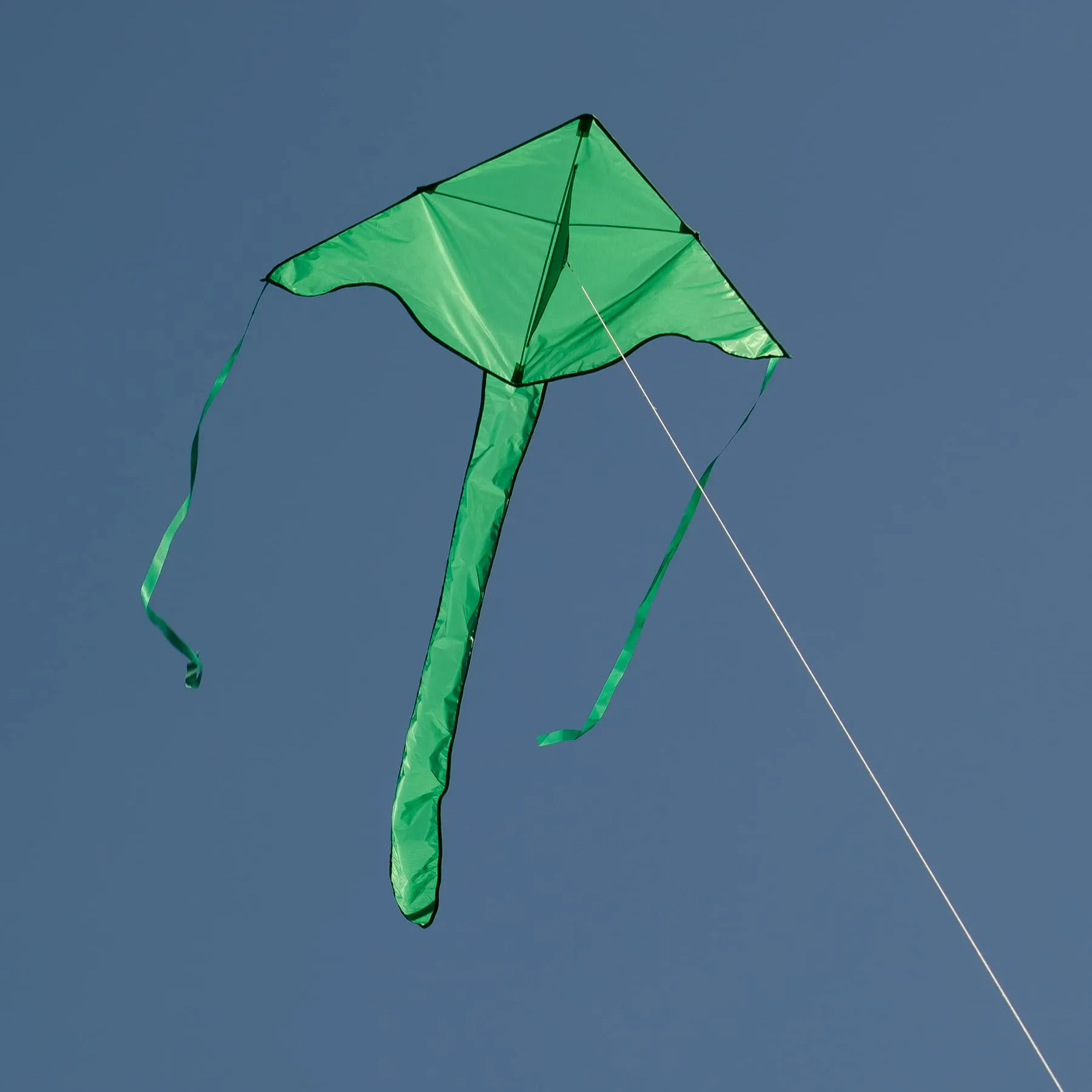 In the Breeze Solid Color Fly-Hi Kites - Green