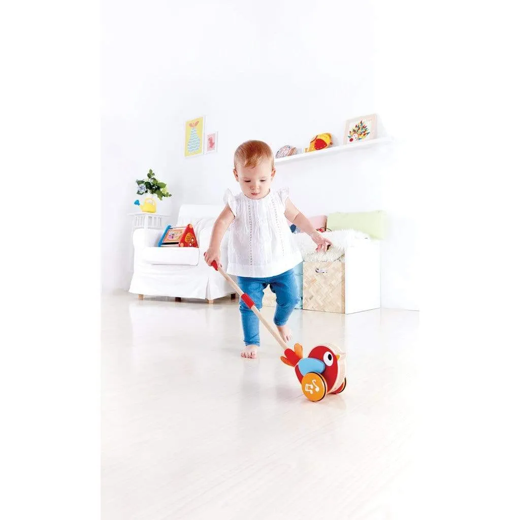 Lilly Musical Push Along Toy