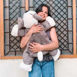 Noodle - The Cuddly Plush Dog