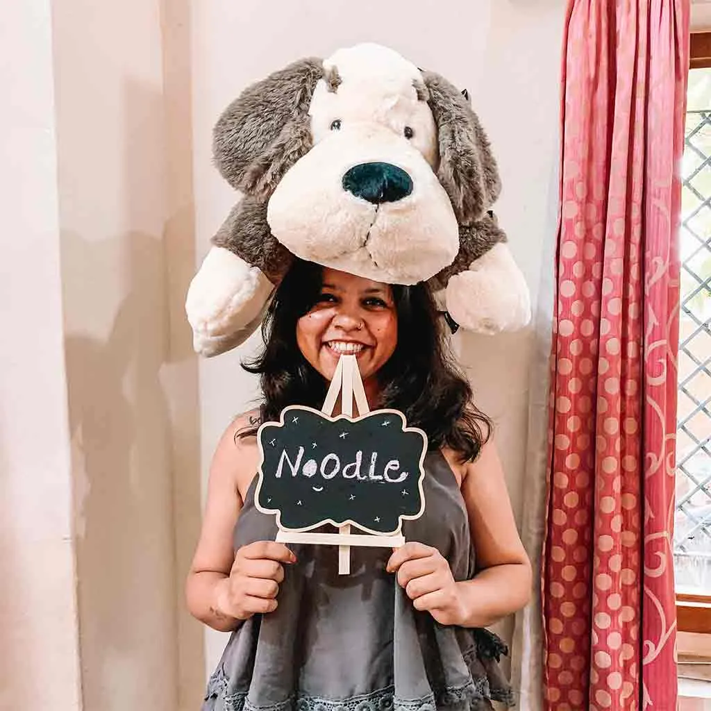Noodle - The Cuddly Plush Dog