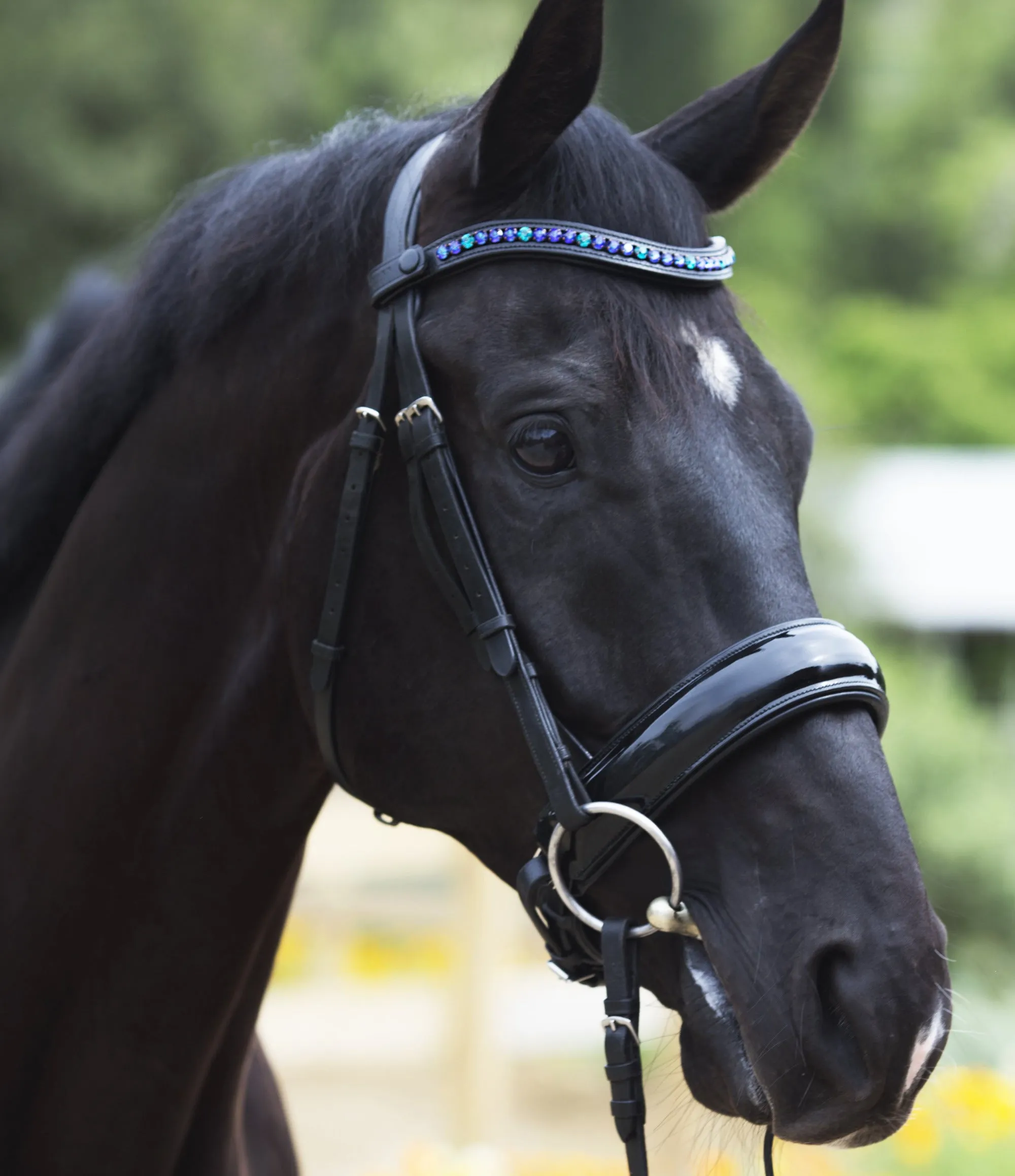 Oberon Double Bridle - Black Patent