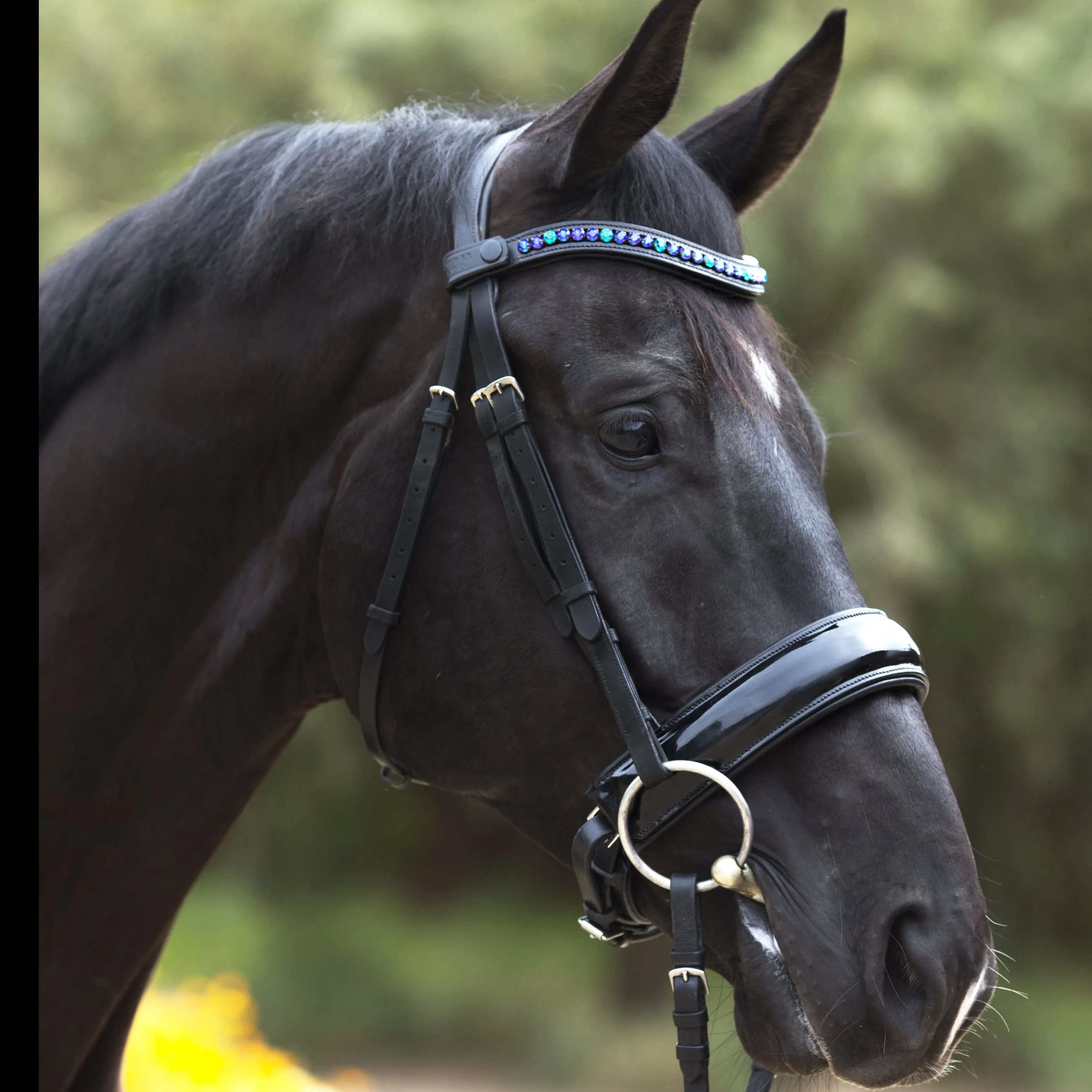 Oberon Double Bridle - Black Patent