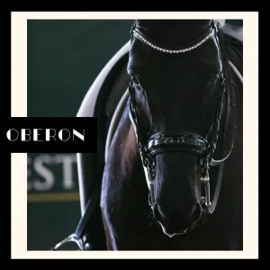 Oberon Double Bridle - Black Patent