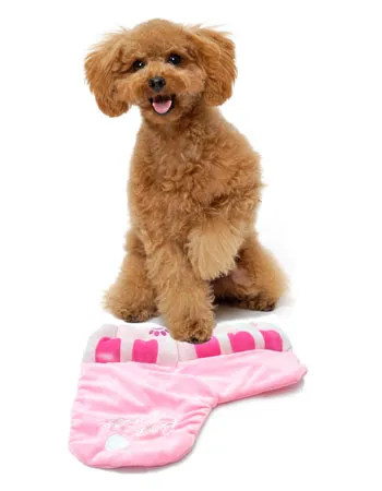 Petz Route Pink Piano Dog Toy