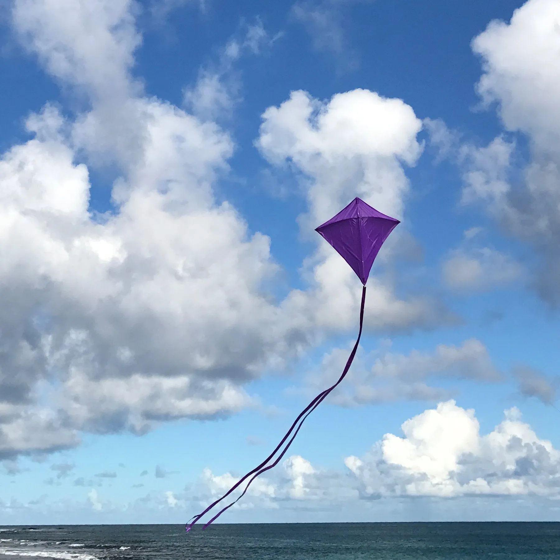 Purple 30" Diamond Kite