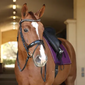 Vento Black Patent Snaffle Bridle